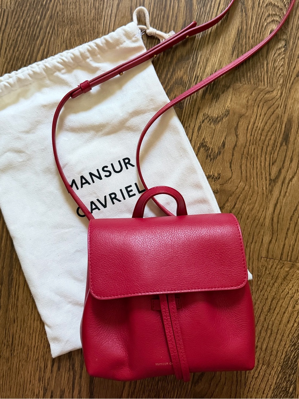 Mansur Gavriel mini Lady bag in soft red leather